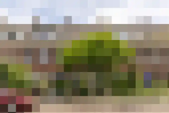 Lorentzkade 316 Haarlem thumbnail 40