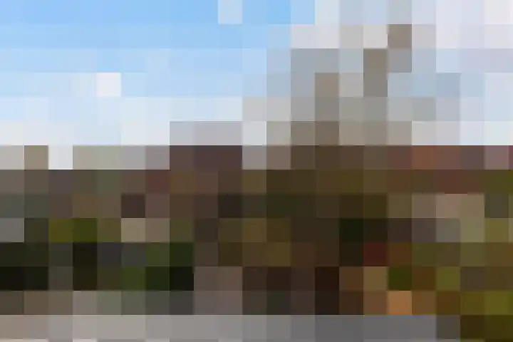 Lorentzkade 316 Haarlem thumbnail 45