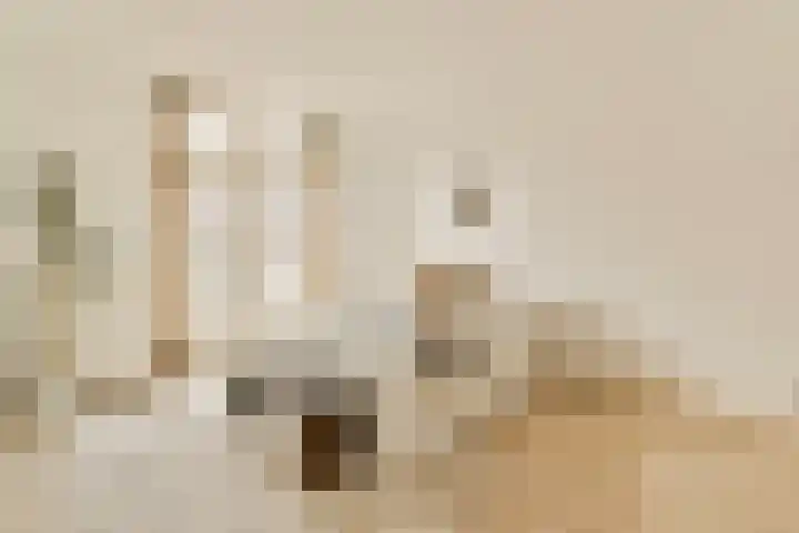 Lorentzkade 380 Haarlem thumbnail 16