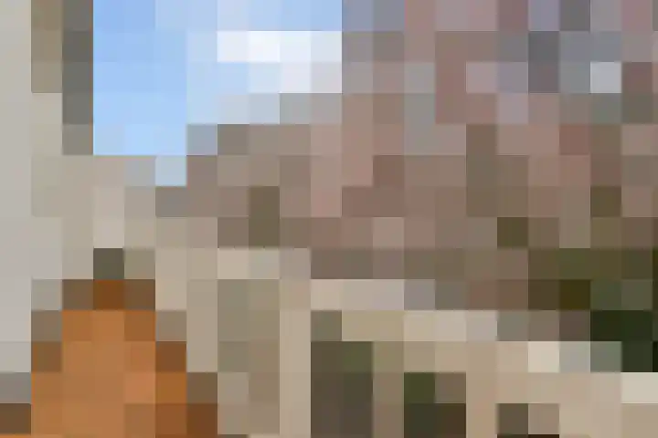 Lorentzkade 380 Haarlem thumbnail 19