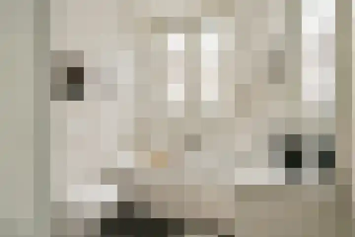 Lorentzkade 380 Haarlem thumbnail 24