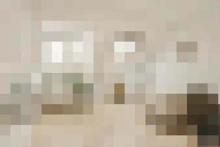 Lorentzkade 380 Haarlem thumbnail 26