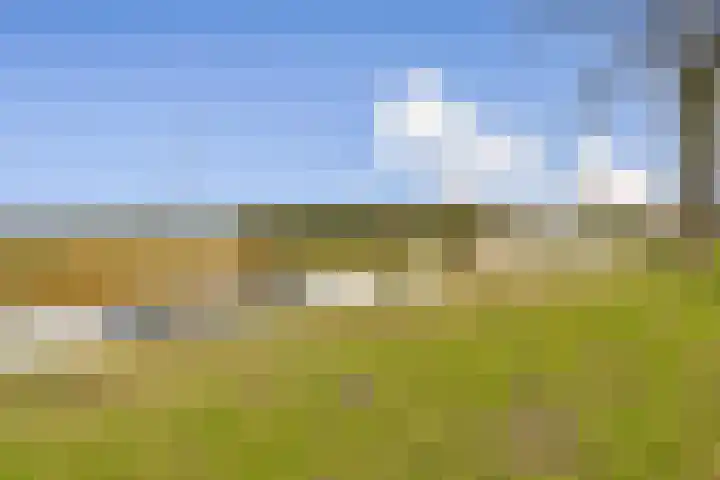 Lorentzkade 380 Haarlem thumbnail 31