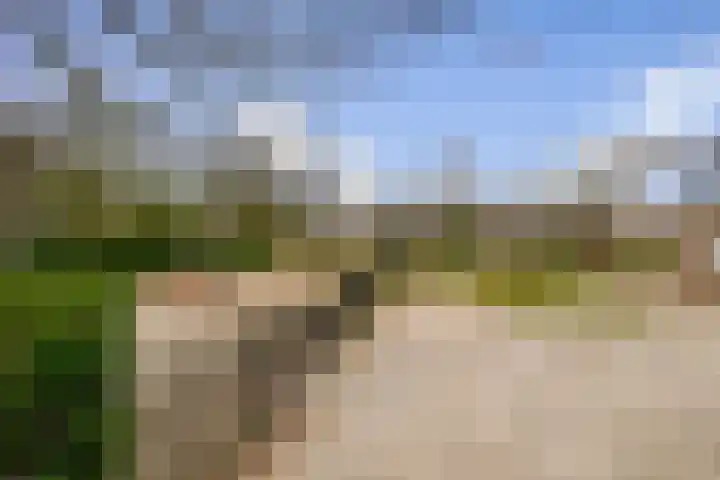 Lorentzkade 380 Haarlem thumbnail 33
