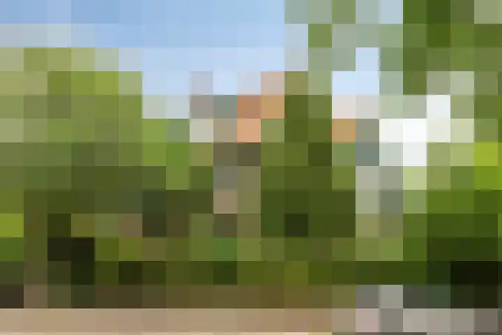 Lorentzlaan 2 Arnhem