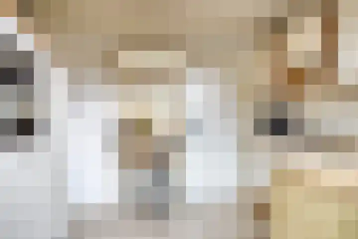 Lorentzlaan 32 Zwolle thumbnail 17