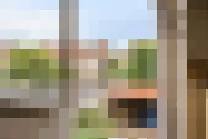 Lorentzlaan 32 Zwolle thumbnail 23