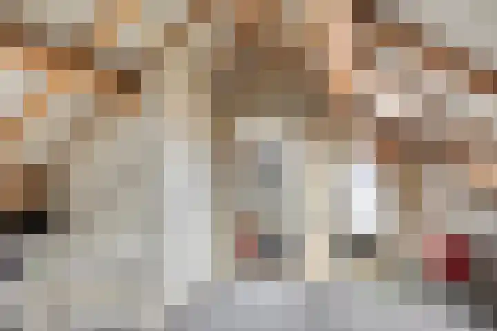 Lorentzlaan 32 Zwolle thumbnail 34