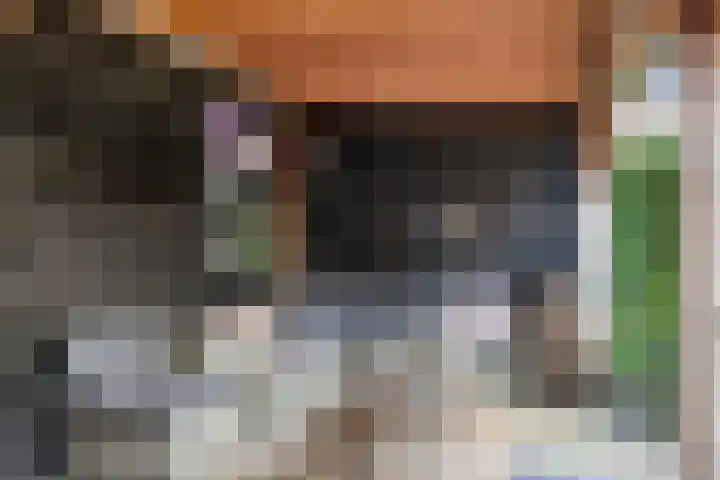 Lorentzlaan 32 Zwolle thumbnail 38