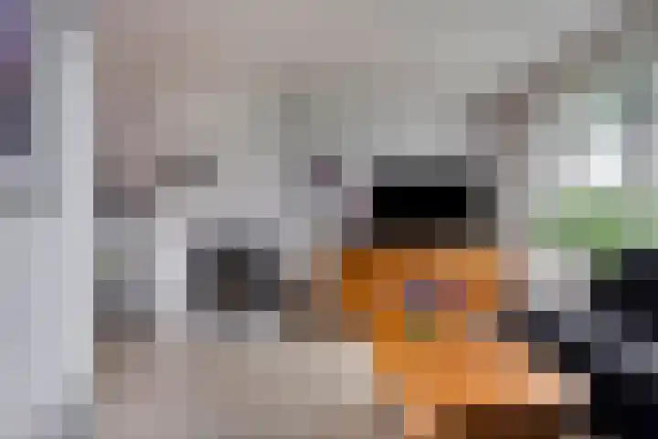 Lorentzlaan 32 Zwolle thumbnail 8