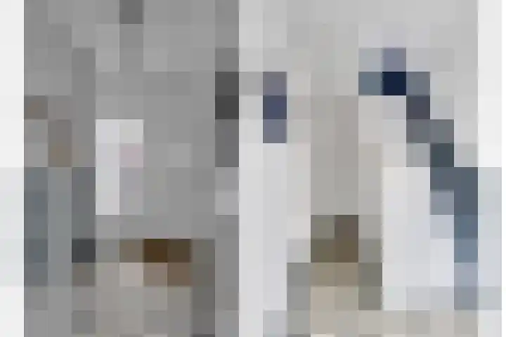 Lorentzlaan 4 Utrecht thumbnail 7