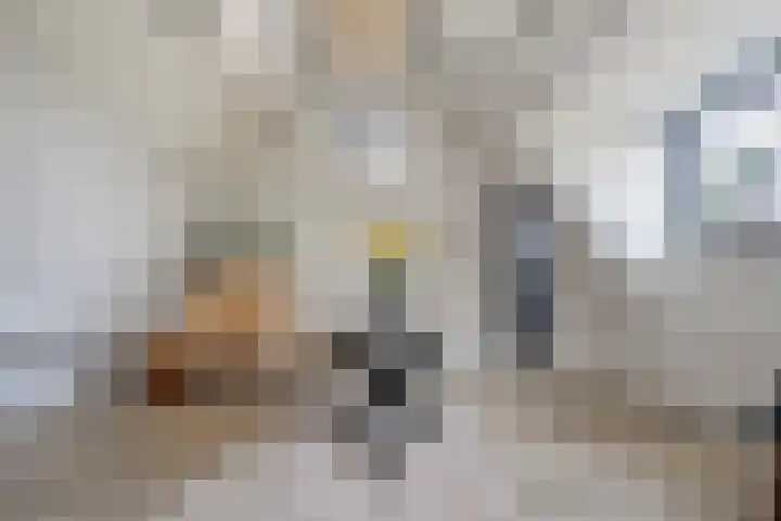 Lorentzlaan 9 Almelo thumbnail 28