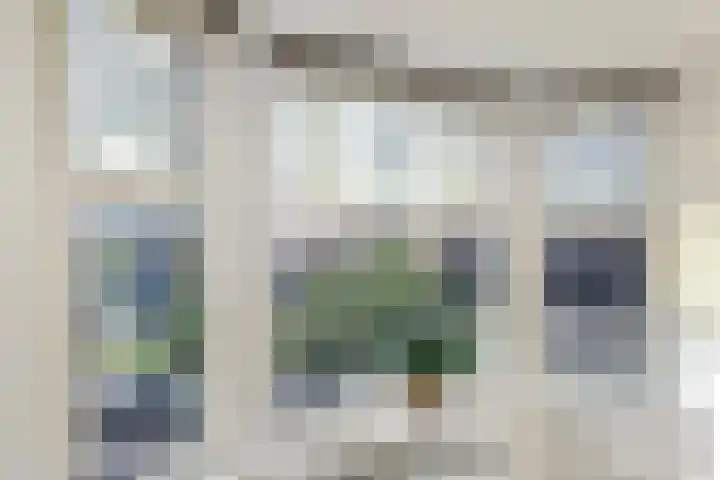 Lorentzplein 19 Den Haag thumbnail 8