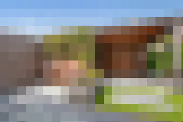 Lorentzschans 23 Zoetermeer thumbnail 11