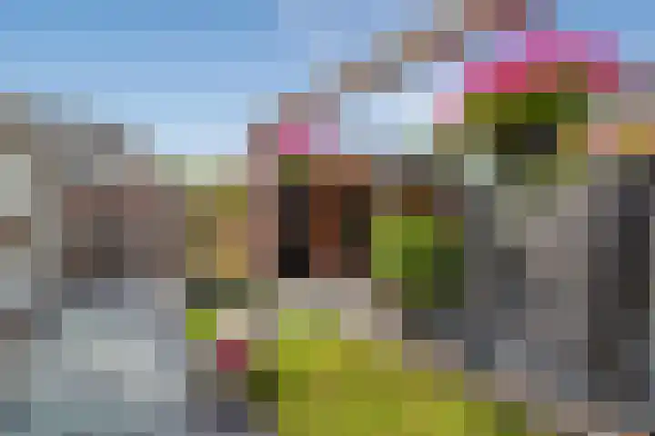 Lorentzschans 23 Zoetermeer thumbnail 12