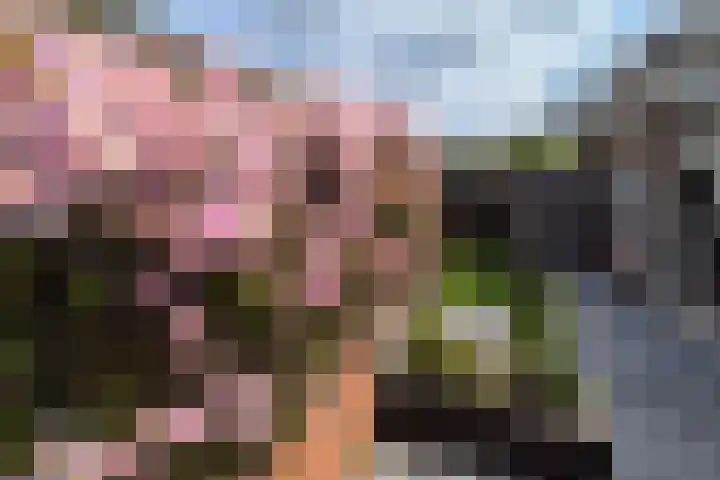 Lorentzschans 23 Zoetermeer thumbnail 14