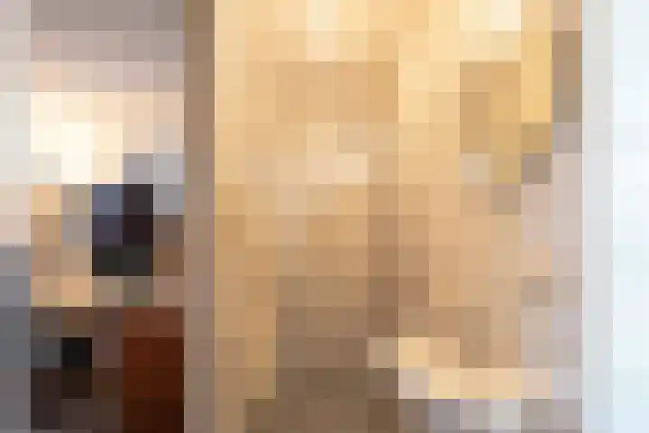 Lorentzschans 23 Zoetermeer thumbnail 17