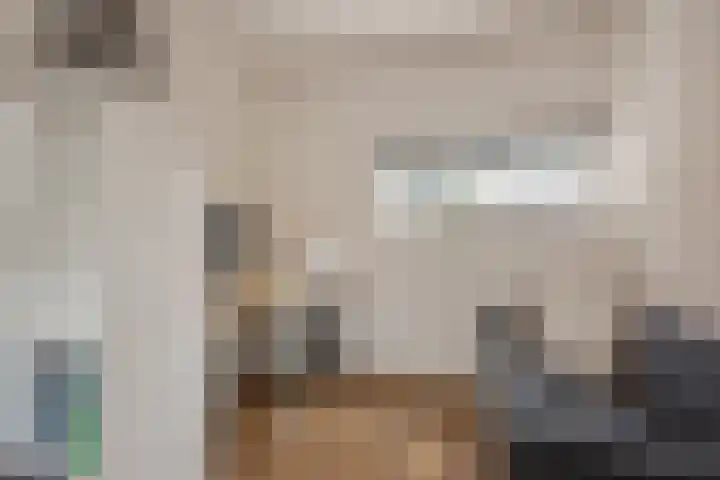 Lorentzschans 23 Zoetermeer thumbnail 21
