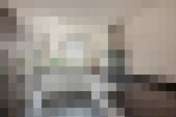 Lorentzschans 23 Zoetermeer thumbnail 23
