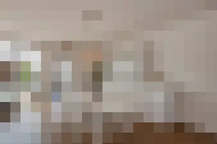 Lorentzschans 23 Zoetermeer thumbnail 25