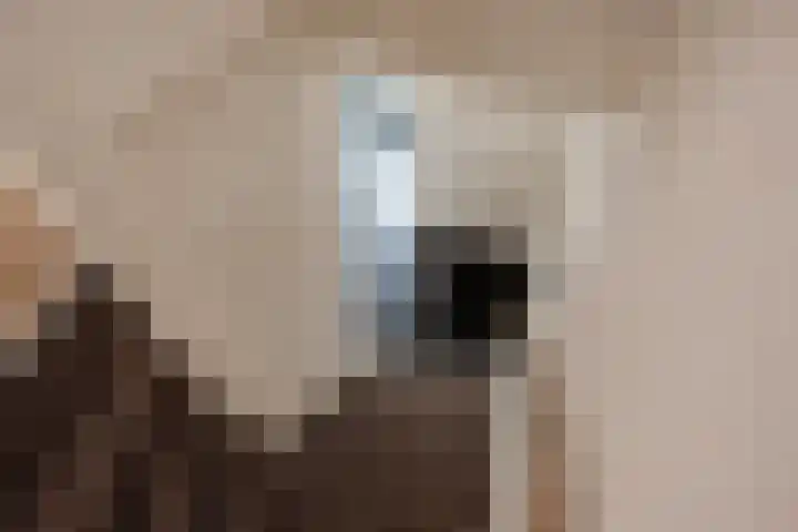 Lorentzschans 23 Zoetermeer thumbnail 29