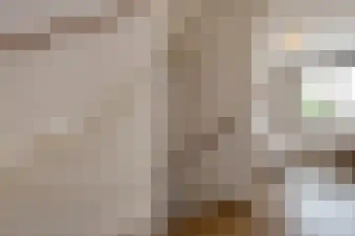 Lorentzschans 23 Zoetermeer thumbnail 30