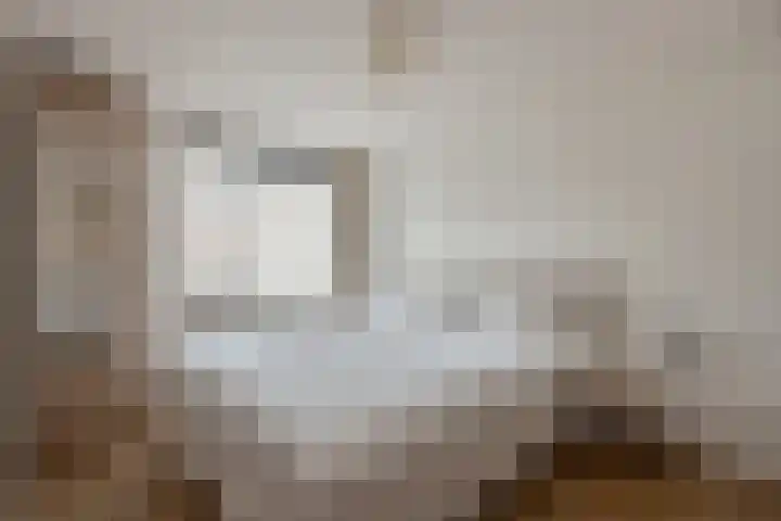 Lorentzschans 23 Zoetermeer thumbnail 32