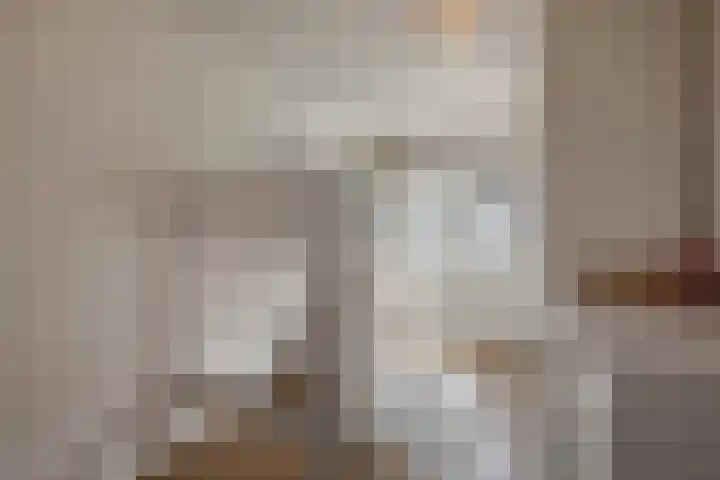 Lorentzschans 23 Zoetermeer thumbnail 38