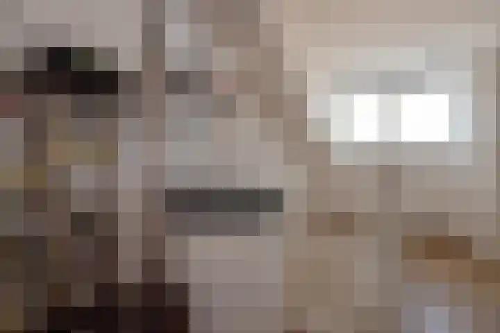 Lorentzschans 23 Zoetermeer thumbnail 42