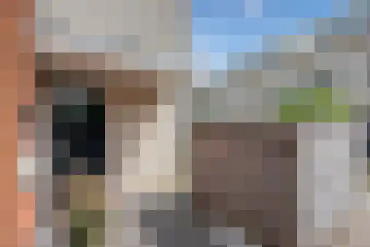 Lorentzschans 23 Zoetermeer thumbnail 6