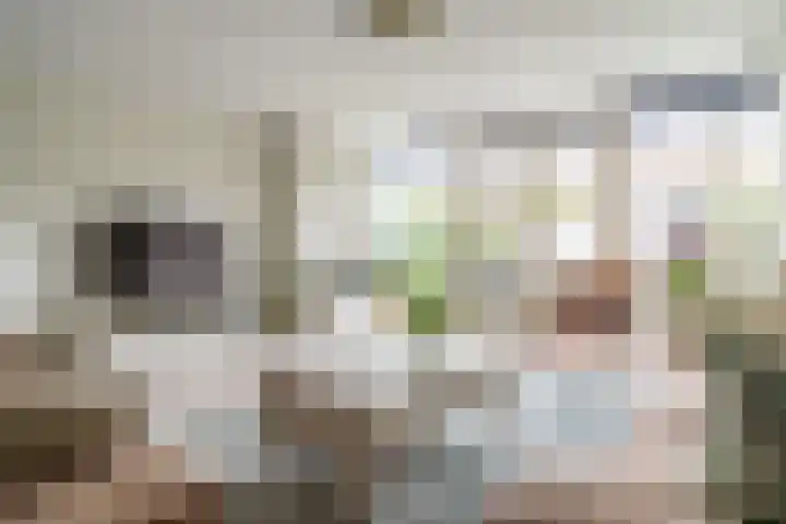 Lorentzschans 28 Zoetermeer thumbnail 10