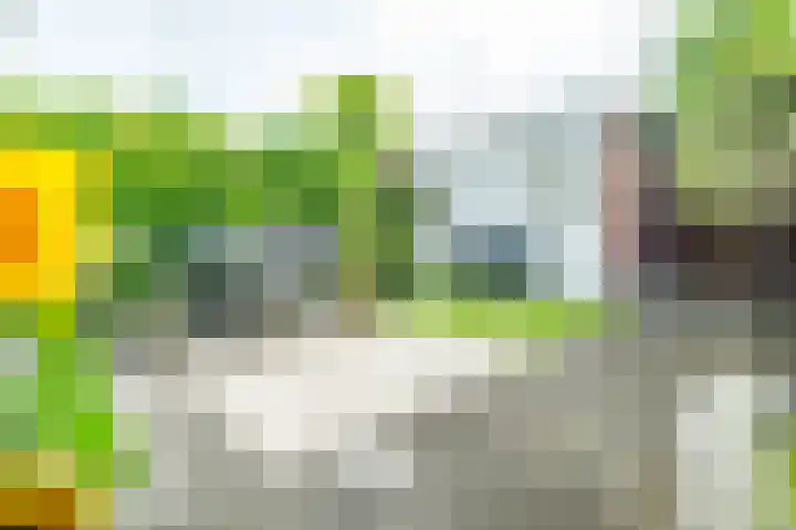 Lorentzschans 28 Zoetermeer thumbnail 12