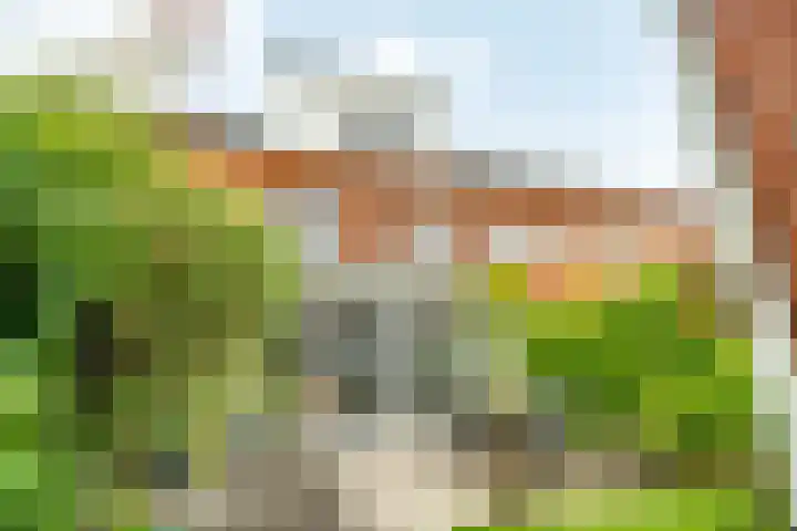Lorentzschans 28 Zoetermeer thumbnail 14