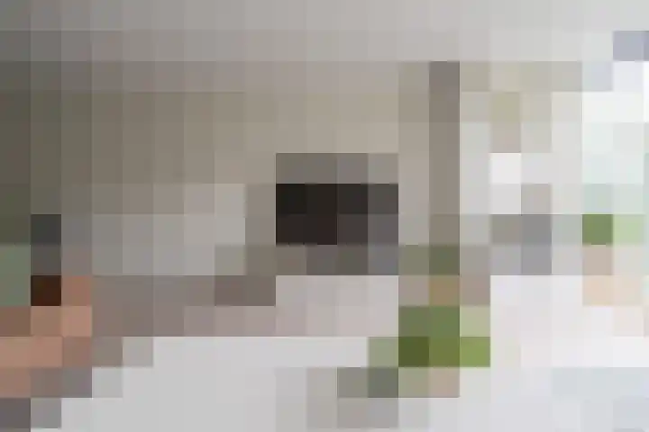 Lorentzschans 28 Zoetermeer thumbnail 17