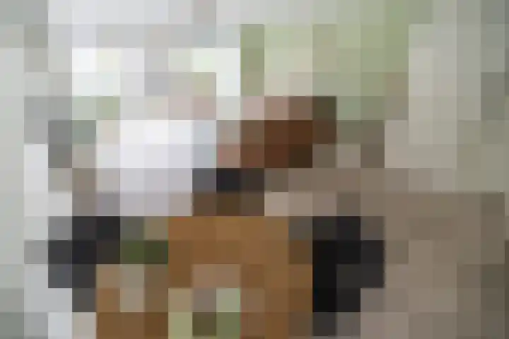 Lorentzschans 28 Zoetermeer foto 2