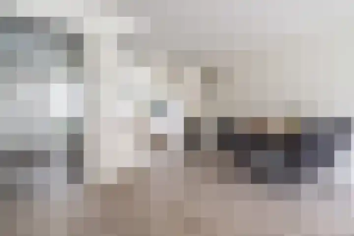 Lorentzschans 28 Zoetermeer thumbnail 22