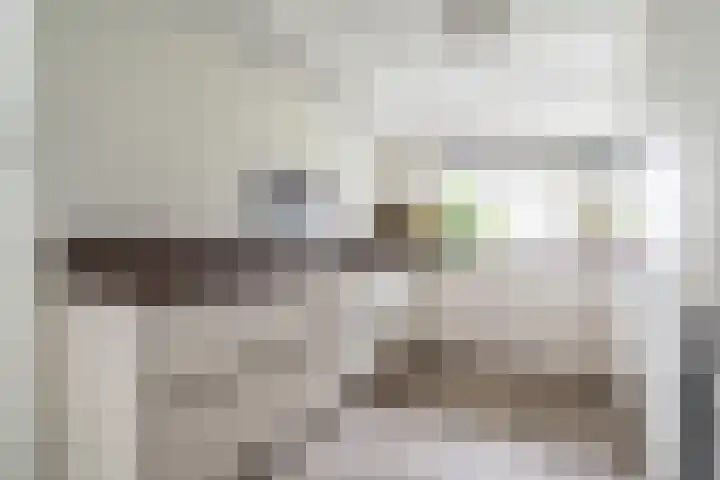 Lorentzschans 28 Zoetermeer thumbnail 23