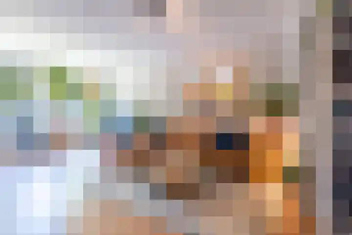 Lorentzschans 28 Zoetermeer thumbnail 26