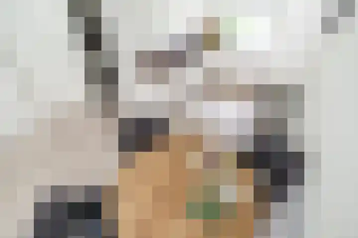 Lorentzschans 28 Zoetermeer thumbnail 27