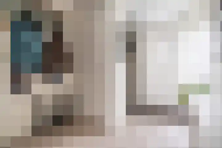 Lorentzschans 28 Zoetermeer thumbnail 28