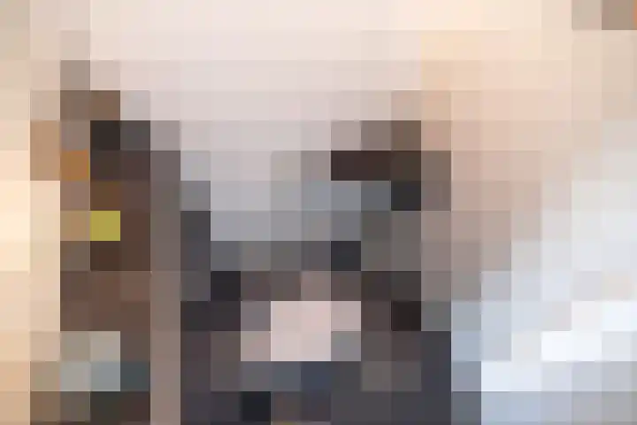 Lorentzschans 28 Zoetermeer thumbnail 29