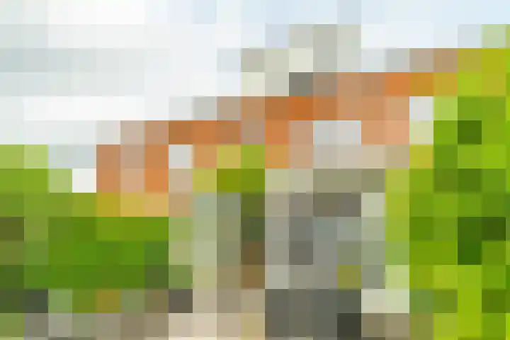 Lorentzschans 28 Zoetermeer thumbnail 4