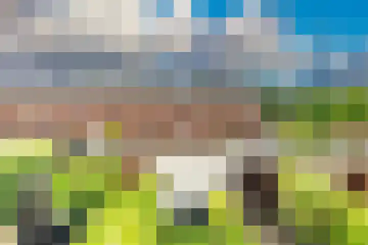 Lorentzschans 28 Zoetermeer thumbnail 40