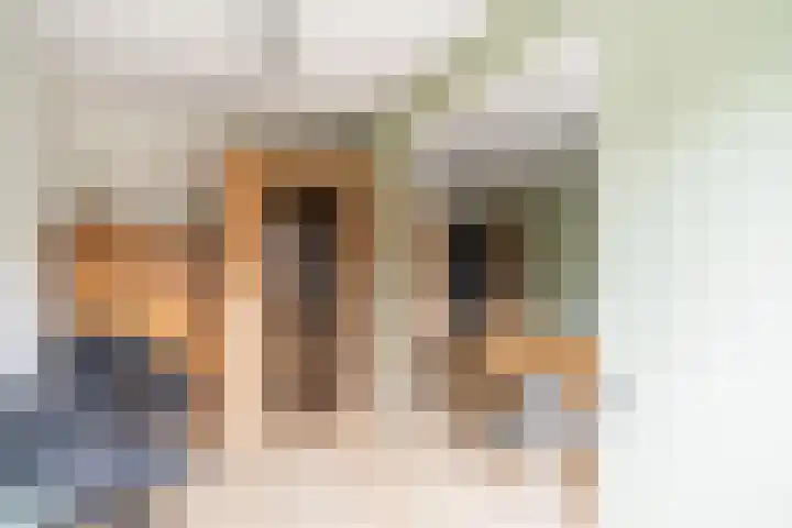 Lorentzschans 28 Zoetermeer thumbnail 42