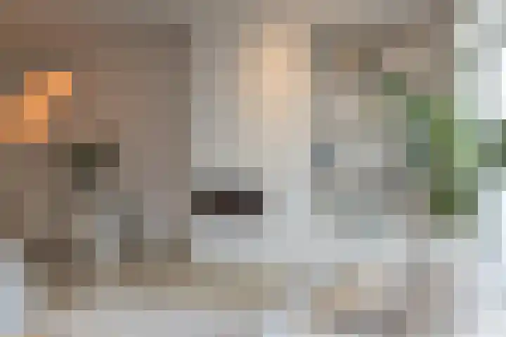 Lorentzschans 28 Zoetermeer thumbnail 43