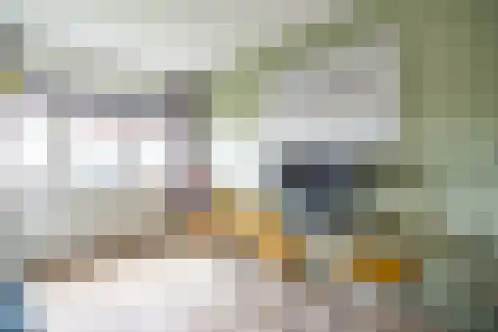 Lorentzschans 28 Zoetermeer thumbnail 45