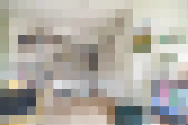 Lorentzschans 28 Zoetermeer thumbnail 46