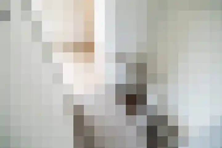 Lorentzschans 28 Zoetermeer thumbnail 47