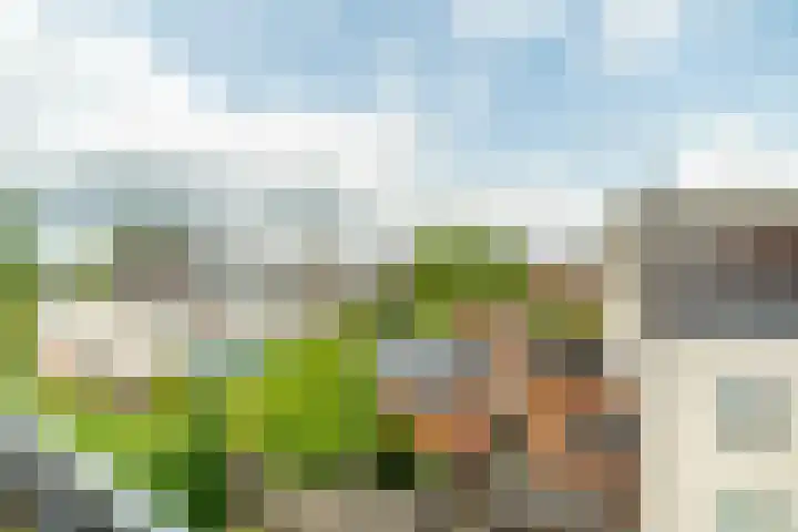Lorentzschans 28 Zoetermeer thumbnail 58