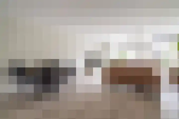 Lorentzschans 28 Zoetermeer thumbnail 6